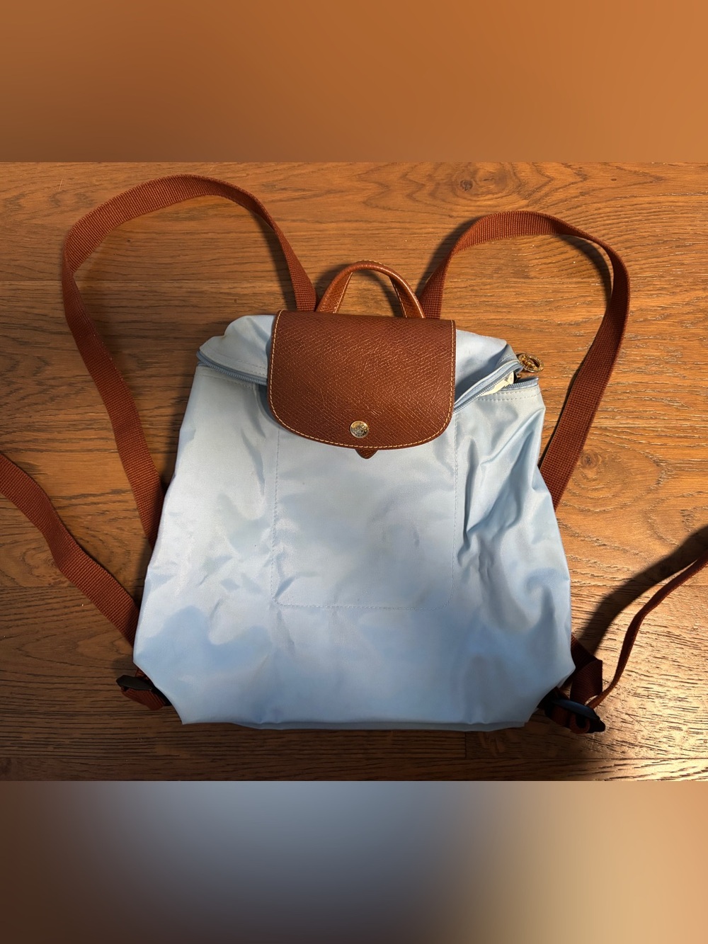 Longchamp Backpack Baby Blue